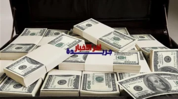 تحديثات الصرف.. استقرار سعر الدولار داخل بنوك مصر والأهلي وCIB صباح الإثنين